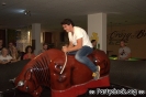Crazy Bull