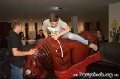 Crazy Bull
