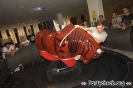 Crazy Bull