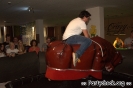 Crazy Bull