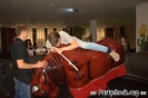 Crazy Bull