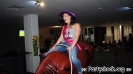 Crazy Bull
