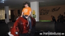 Crazy Bull