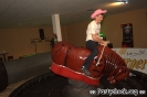 Crazy Bull