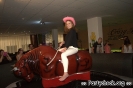 Crazy Bull