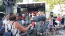 Altstadtfest