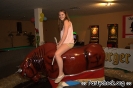 Crazy Bull
