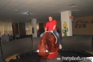 Crazy Bull