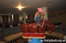 Crazy Bull