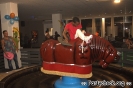 Crazy Bull