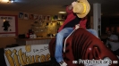 Crazy Bull