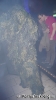 Flash