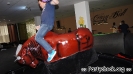 Crazy Bull