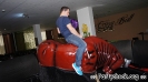 Crazy Bull